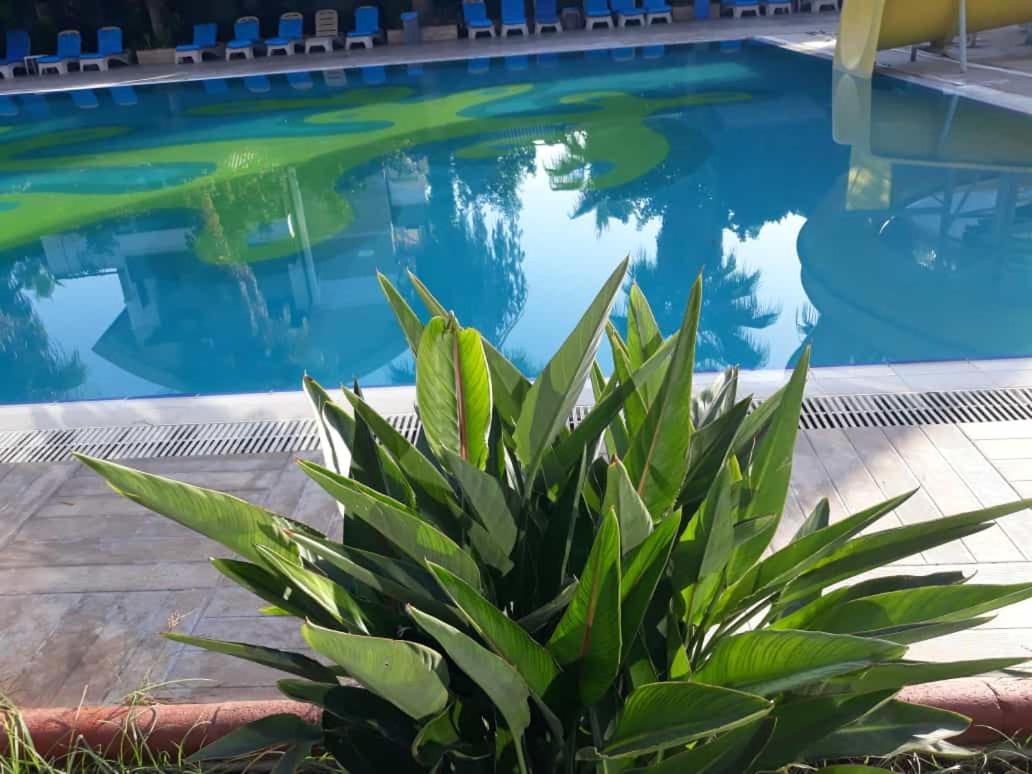 Club Jovia Kemer Hotel Antalya Kültér fotó